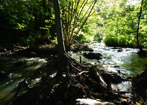 Wandern zwischen Divoká und Dolní Šárka. Landschaften wie vor 200 Jahren in Thüringen. Foto: Kountouroyanis