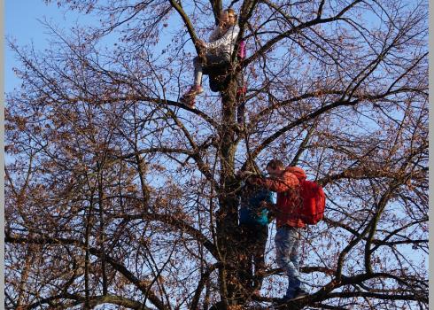 Ausblickspunkte konnten in den entlaubten Bäumen gefunden werden. Foto: K. Kountouroyanis