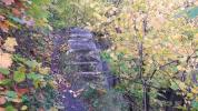 Eine verfallene Treppe auf dem verwilderten Gelände des einstigen Basaltschotterwerks ist kaum noch zu erkennen