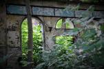 Ruine am Laurenziberg – „Wald im Haus“
