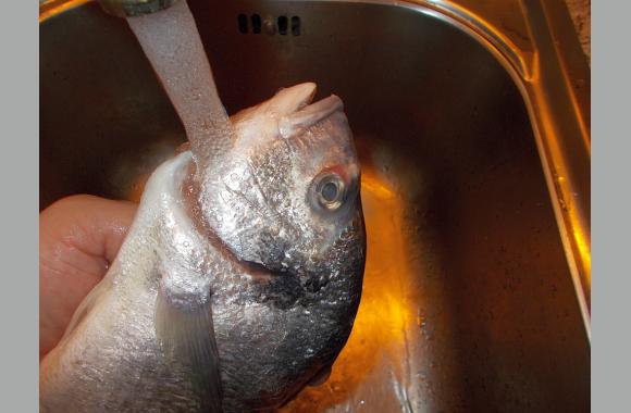 Achten Sie auf die Wasserqualität in Ihrer Region. Sollten Sie unsicher sein, nehmen Sie Flaschenwasser.