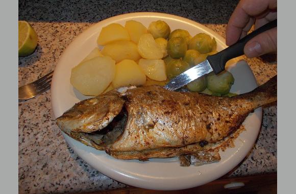 Frischer Fisch in Prag - Mittelmeer-Dorade gebacken! | Tschechien Online