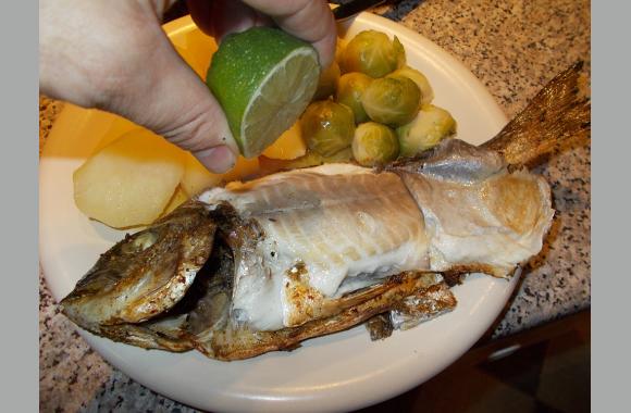 Frischer Fisch in Prag - Mittelmeer-Dorade gebacken! | Tschechien Online
