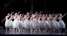 Royal Ballet in London: Tschaikowskys "Schwanensee"